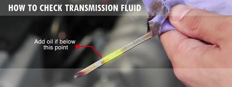 how to check transmission fluid