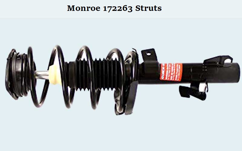 Monroe 172263 Strut Review