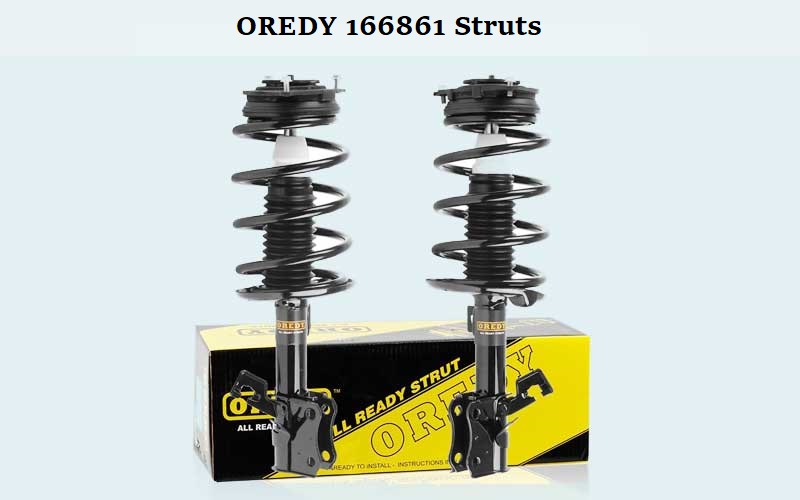 OREDY 166861 Struts Review