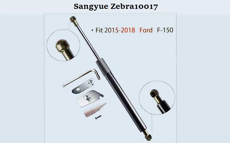 Sangyue-Zebra10017 Best Tailgate Assist (Review) - Top Picks & Complete Guide