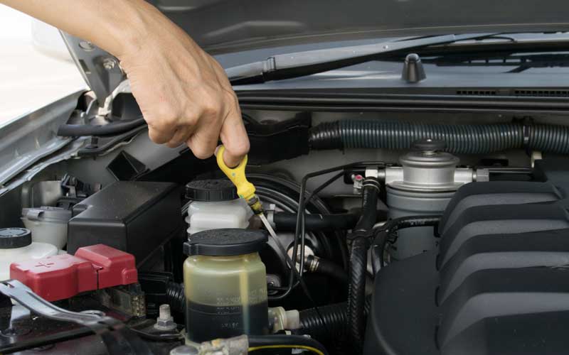 how frequently to replace the oil