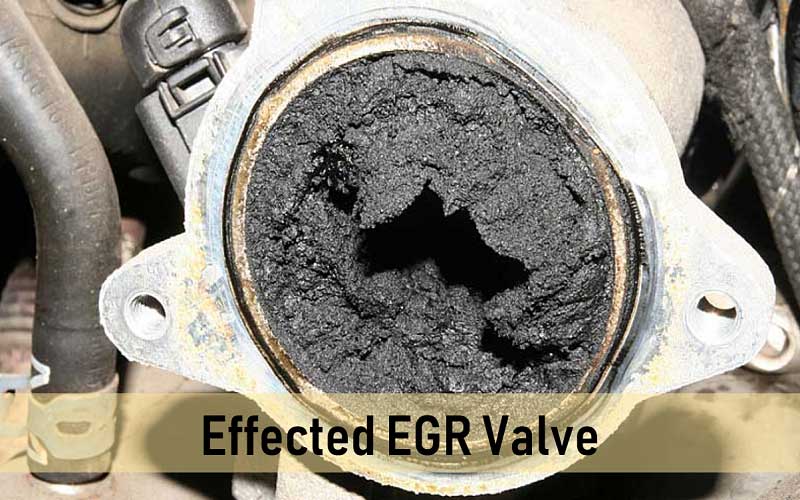 EGR Valve Problem